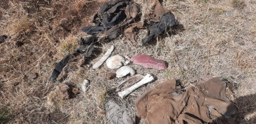 Human remains found in Azerbaijan’s Kalbajar district 