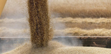 Azerbaijan to develop program to reduce dependence on grain imports