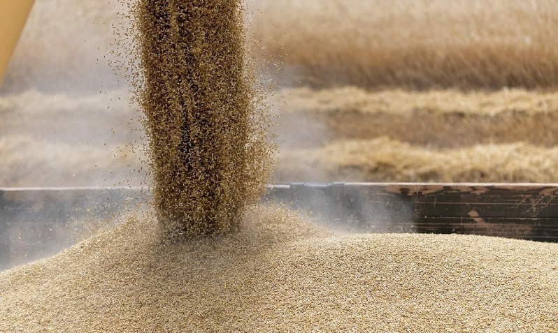 Azerbaijan to develop program to reduce dependence on grain imports