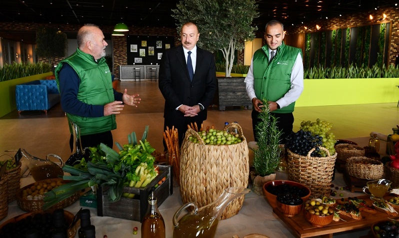 President Ilham Aliyev attends opening of olive oil and table olive products processing plant in Zira settlement
