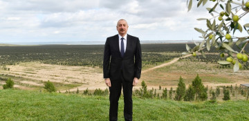 We have plans to launch thousands of jobs, local production in Azerbaijan – President Ilham Aliyev