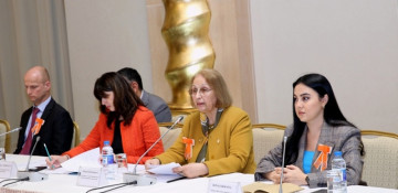 Society and media play huge role in combating violence against women: State Committee