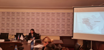 France serves interests of Armenian lobby: Azerbaijani expert