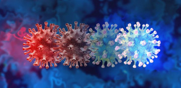 Omicron subvariant XBB jumps to 18% of U.S. COVID cases