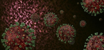 XBB.1.5 omicron subvariant is the most transmissible version of Covid yet: WHO
