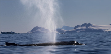 World's oceans were hottest ever in 2022, study shows