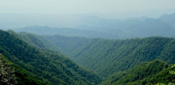 Azerbaijan’s Hirkan Forests may be added to UNESCO Natural Heritage List