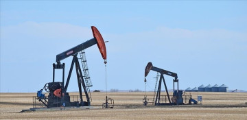Oil prices rise on world markets