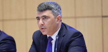 Great potential exists for development of agricultural cooperation between Azerbaijan, Israel - minister