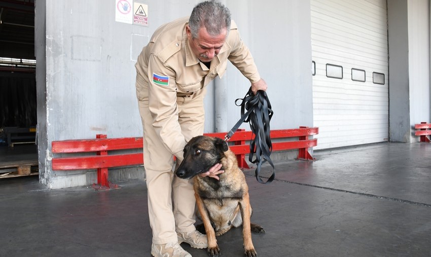 US hands over 5 more mine detection dogs to Azerbaijan