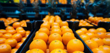 Azerbaijan strengthens control measures on import of oranges from Iran
