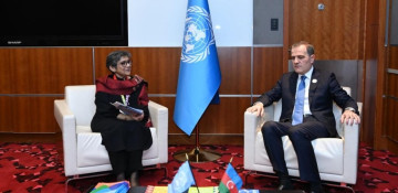 Azerbaijan achieves significant progress in implementation of UN SDGs: Minister