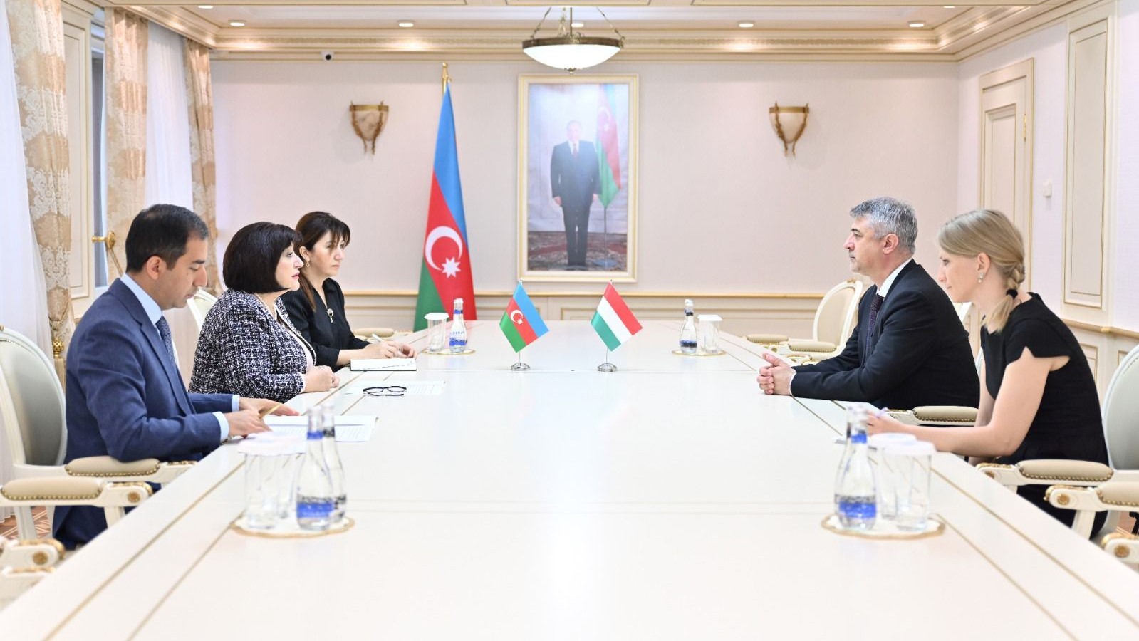 Speaker of Azerbaijani parliament, Ambassador of Hungary discuss co-op