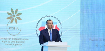 Azerbaijan works on digitalization of labor relations field - minister