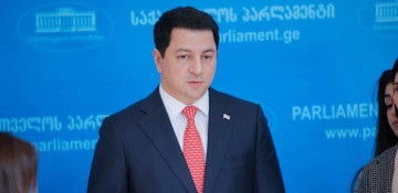 Georgian Vice Parliament Speaker says country’s EU candidacy can prevent threats to European security