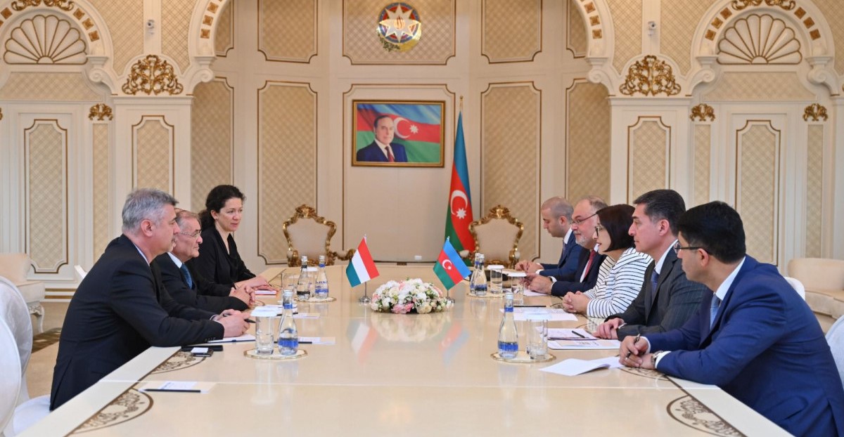 Chair of Azerbaijani Parliament meets with Members of Italy-Azerbaijan Inter-Parliamentary Friendship Group