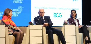 Transformation of Azerbaijan into green energy country begins: Minister