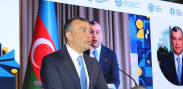 Azerbaijan allocates about $4.1 billion per year for social needs and employment: Minister