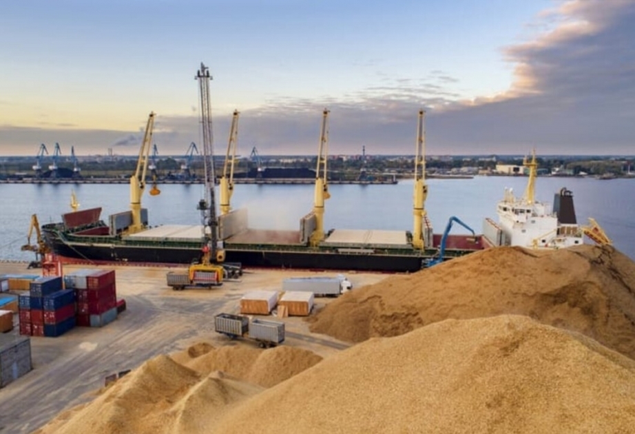 Turkish president voices hope for Black Sea grain deal extension