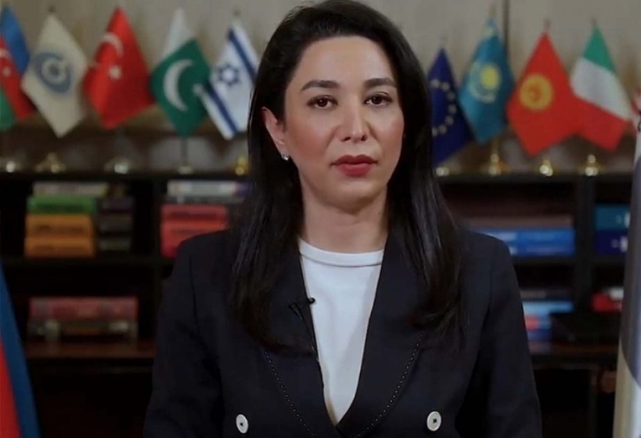  Azerbaijan's Ombudsperson appealed to int'l organizations regarding environmental crimes Armenia committed 