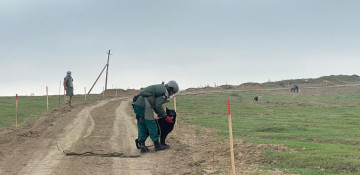 Azerbaijan exempts imports of personal armor, mine detection dogs from tax