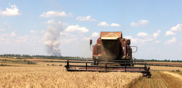 Wheat prices jump 3% after Russia announces end to grain deal