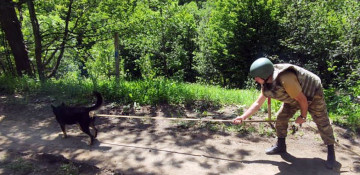 Azerbaijan MoD: Up to 610 hectares of land completely cleared of mines during July