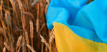 Russia's grain deal withdrawal endangers 400 million lives, Ukrainian official says