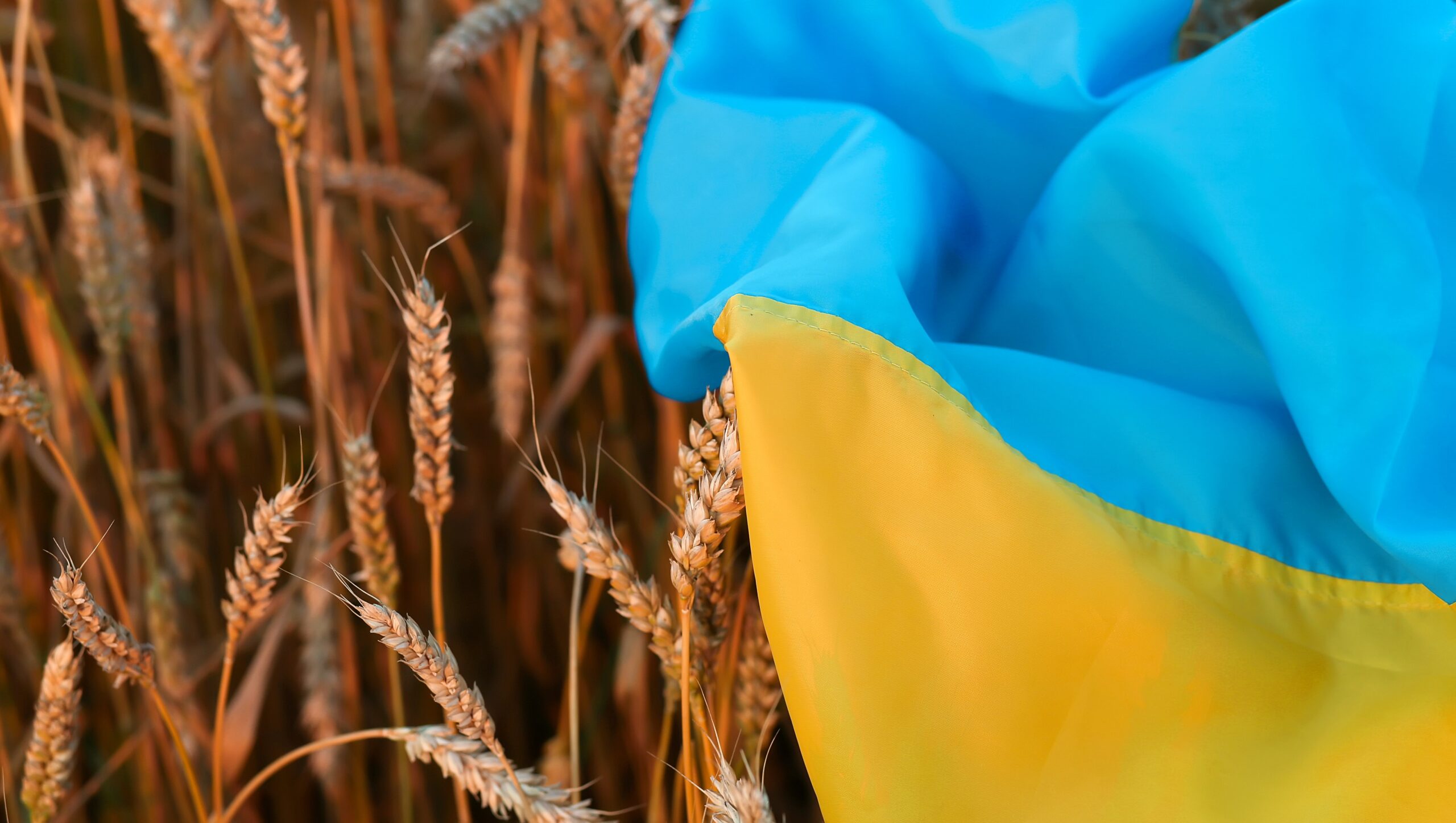Russia's grain deal withdrawal endangers 400 million lives, Ukrainian official says