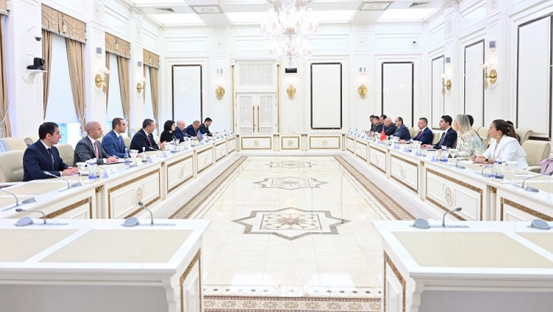 Principle of alliance established on basis of Shusha Declaration opens up significant opportunities: Turkish official