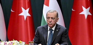Türkiye vows to continue backing Palestinian cause