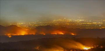 Wildfires destroy 82M hectares of forest worldwide in decade