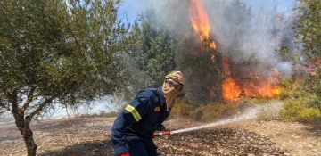 Deadly Mediterranean wildfires kill more than 40