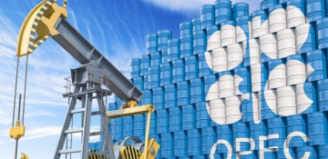 Global crude production growth seen in 2023, 2024 as US, others offset OPEC cuts: EIA