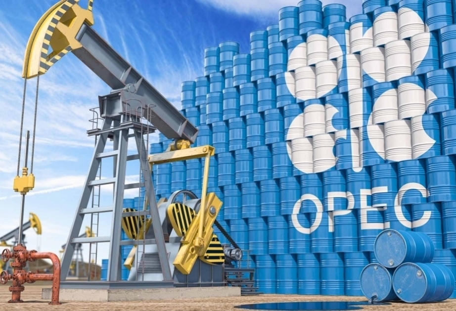 Global crude production growth seen in 2023, 2024 as US, others offset OPEC cuts: EIA