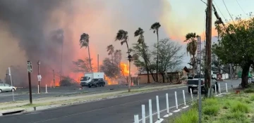 At least 36 killed as wildfires rage in Hawaii