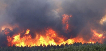 Casualties in Hawaii wildfires reach 93, toll may rise: Governor