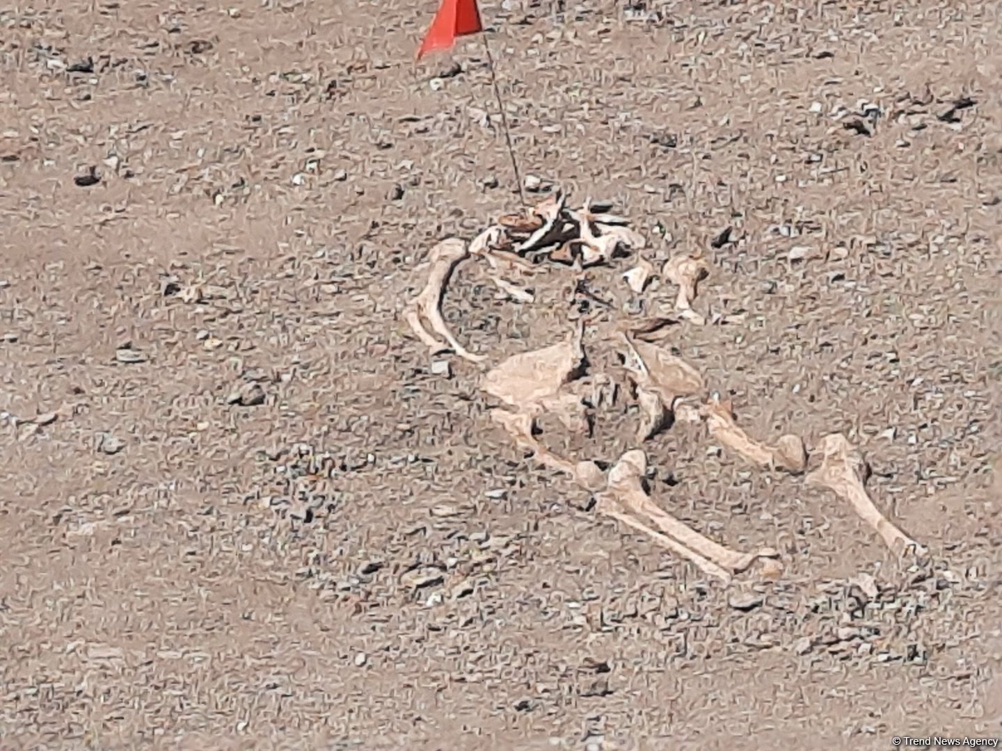 Remains of more than 480 people found in the liberated territories to date - Military Prosecutor's Office