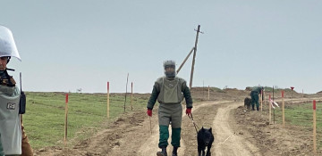 US hands over six more sapper dogs to Azerbaijan