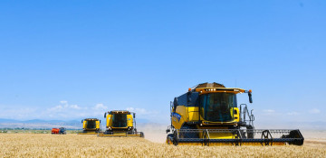 Kazakhstan imposes ban on wheat imports
