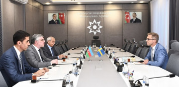 Azerbaijan and Sweden mull opportunities for co-op in humanitarian mine action