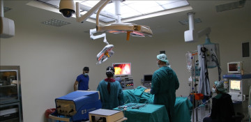 Surgeons successfully perform UK's 1st womb transplant