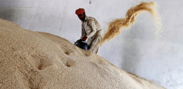 Global food prices retreat to 2-year low despite major rice surge