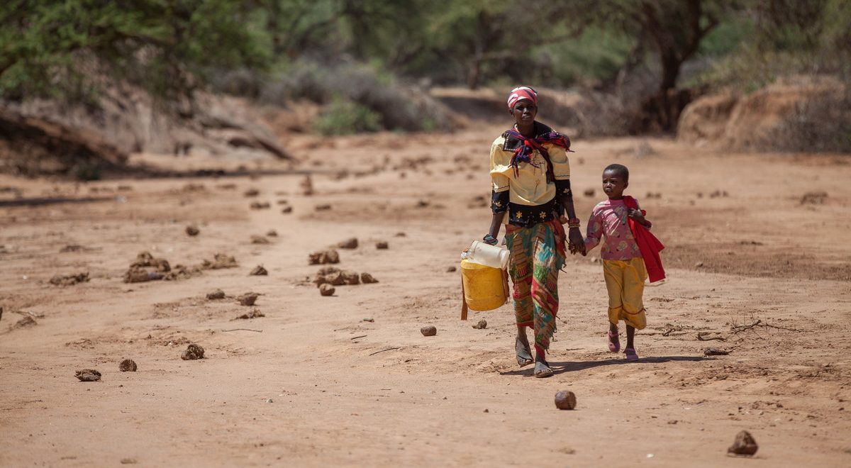 Nearly a quarter of a billion people face high levels of acute food insecurity: Report