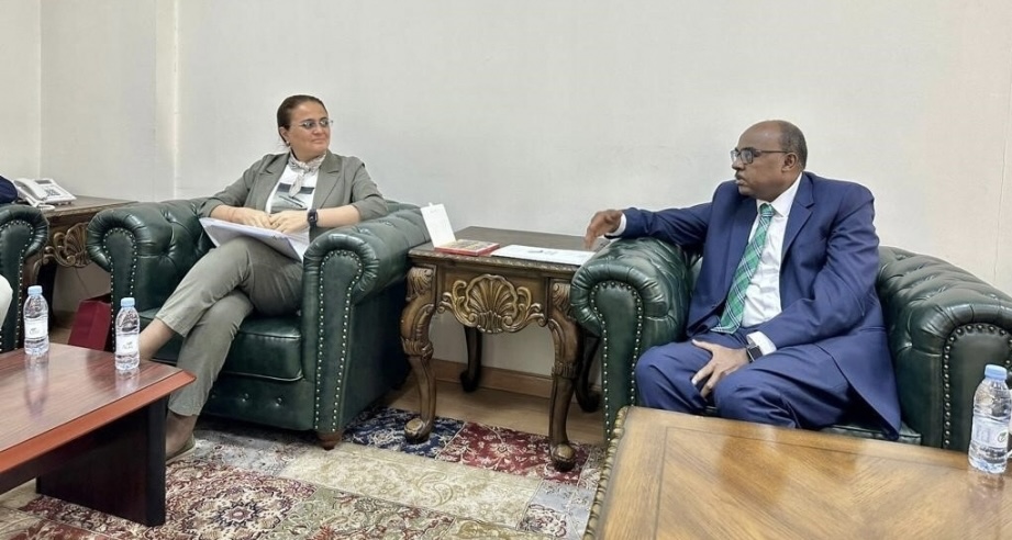 Azerbaijan, OIC discuss prospects for cooperation in cultural sector