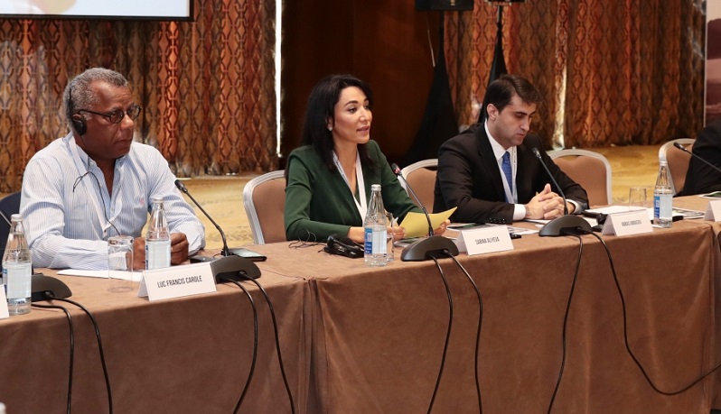 France grossly violates international law by pursuing neocolonial policy: Azerbaijani ombudsperson