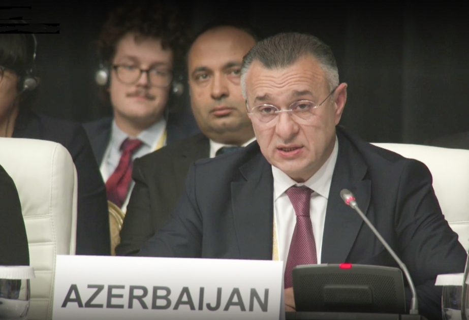 Azerbaijani Health Minister responds to groundless accusations of French and Armenian representatives