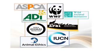 Azerbaijan appeals to int'l organizations regarding animals that fell into landmines in liberated territories