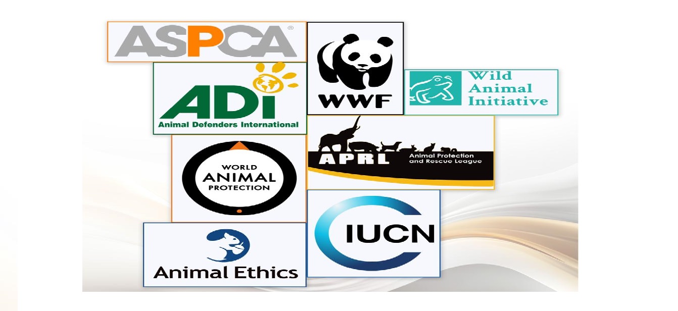 Azerbaijan appeals to int'l organizations regarding animals that fell into landmines in liberated territories