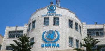 At least 63 UNWRA employees killed in Gaza Strip since conflict outbreak